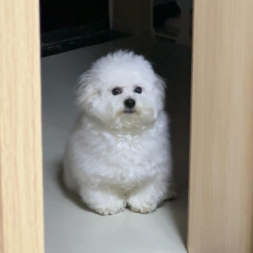 汉堡大王