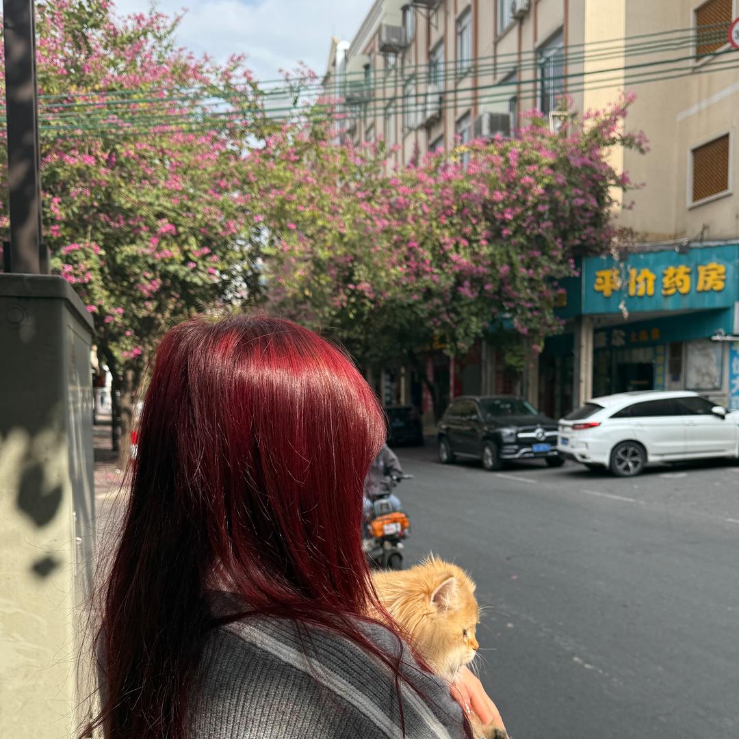 ^待我如初^🥥