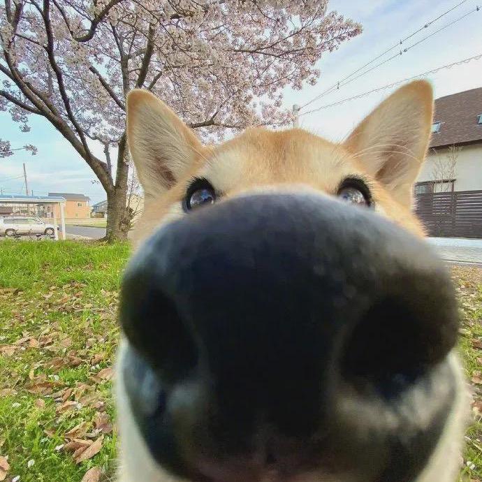 暴  风  闪  电  龙  王