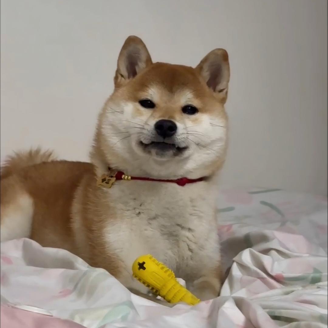 湘儿呀