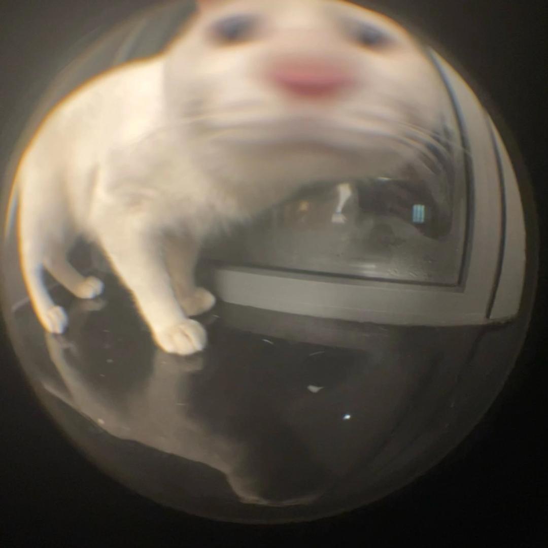 橙小鱼