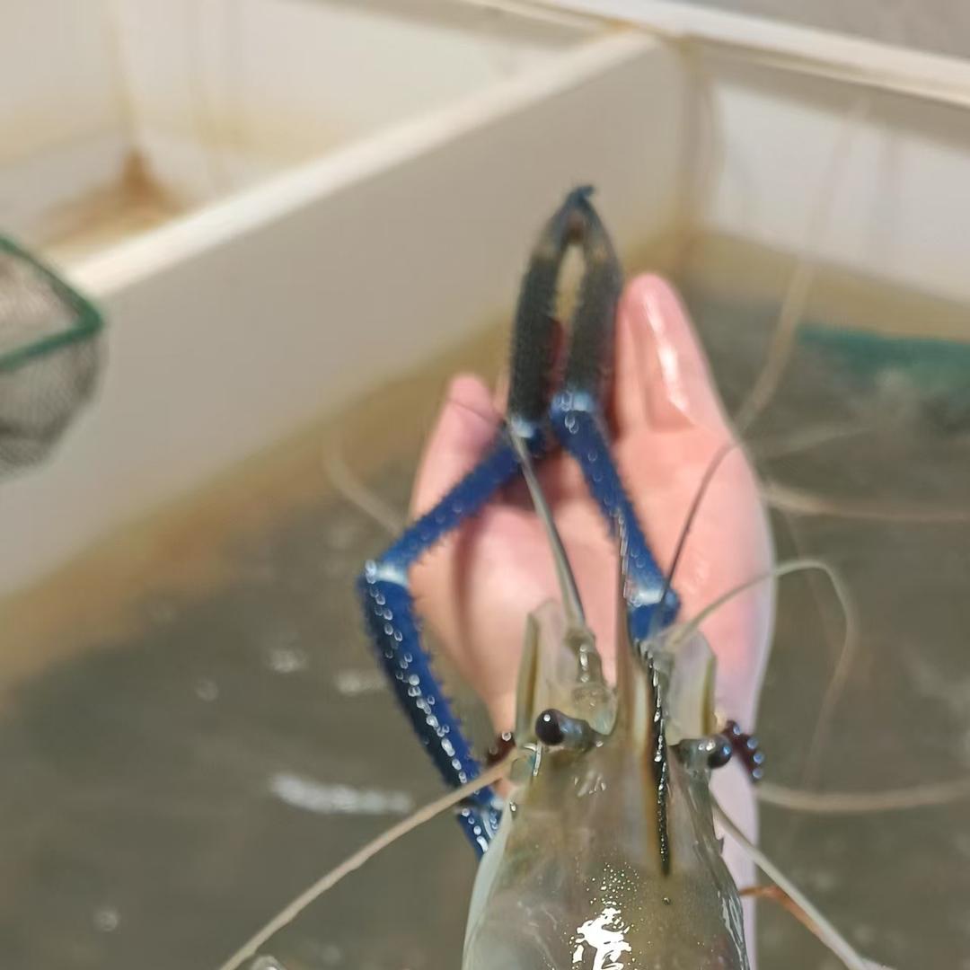 清澜生态农品