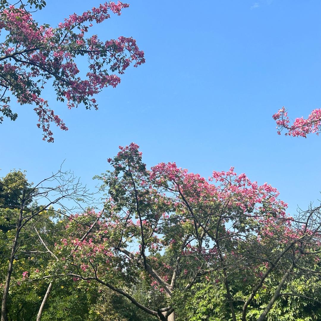 麻辣烫.