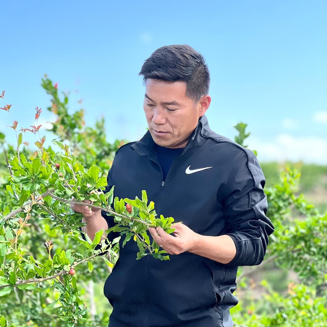 联胜农资（小杨哥）