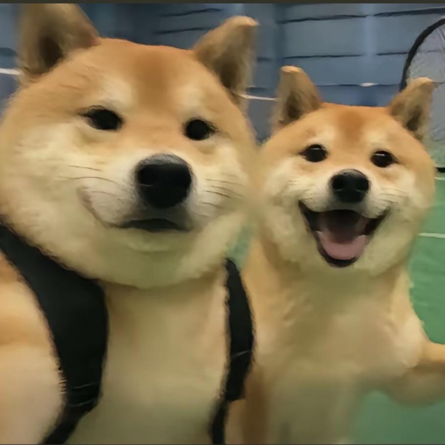 爱唱歌不犯法