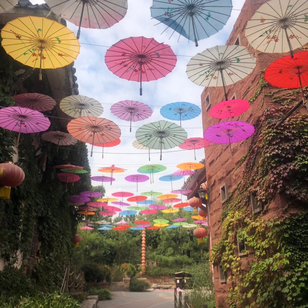 向着光的方向