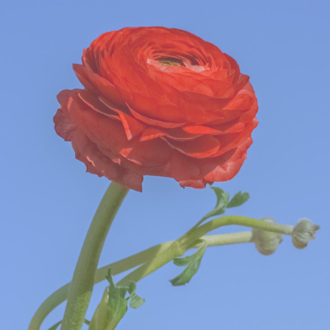 平安喜乐，一帆风顺