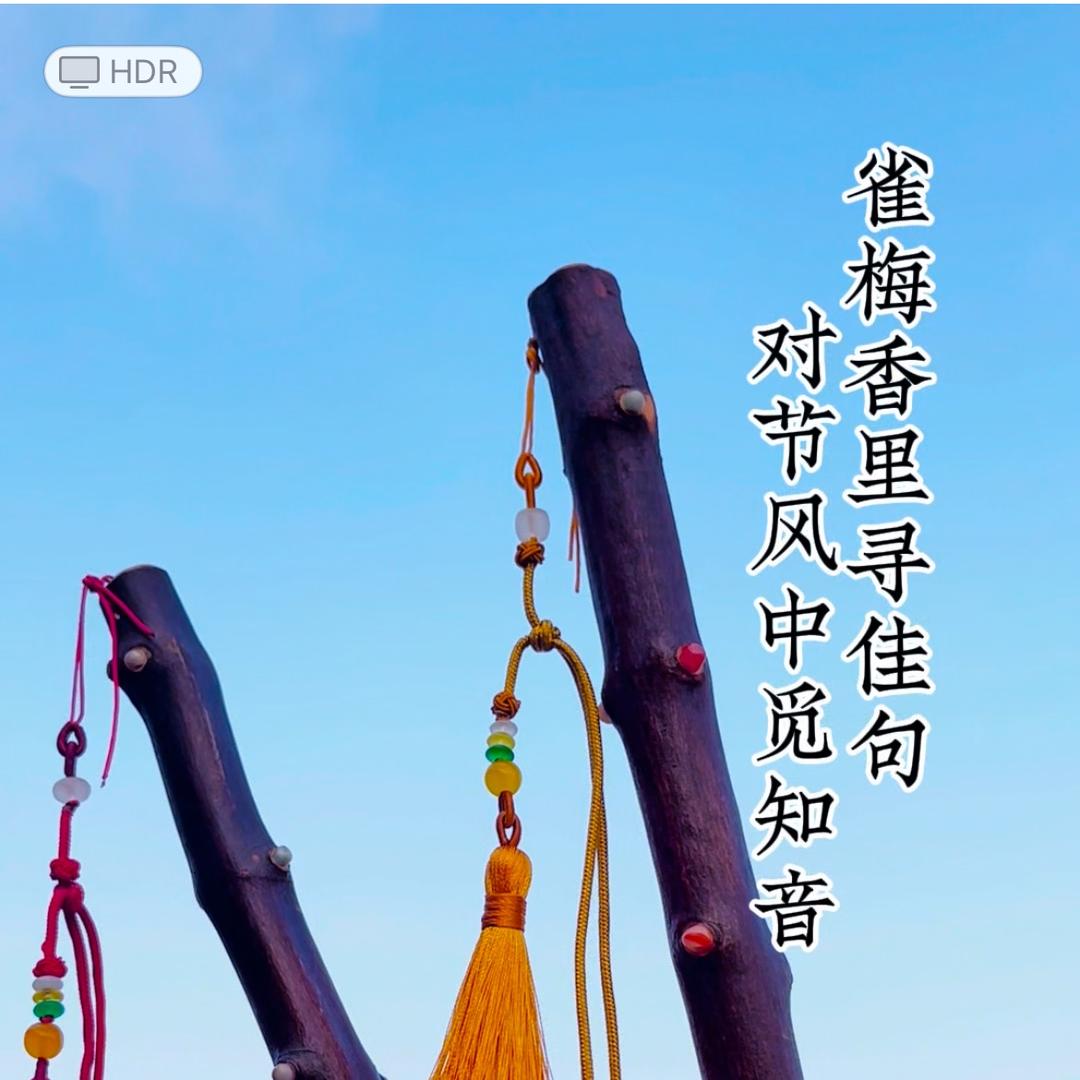 节木高升（吉祥长久木）