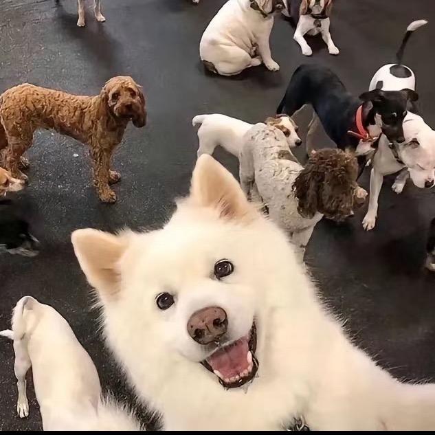 频繁地朋友圈🍭