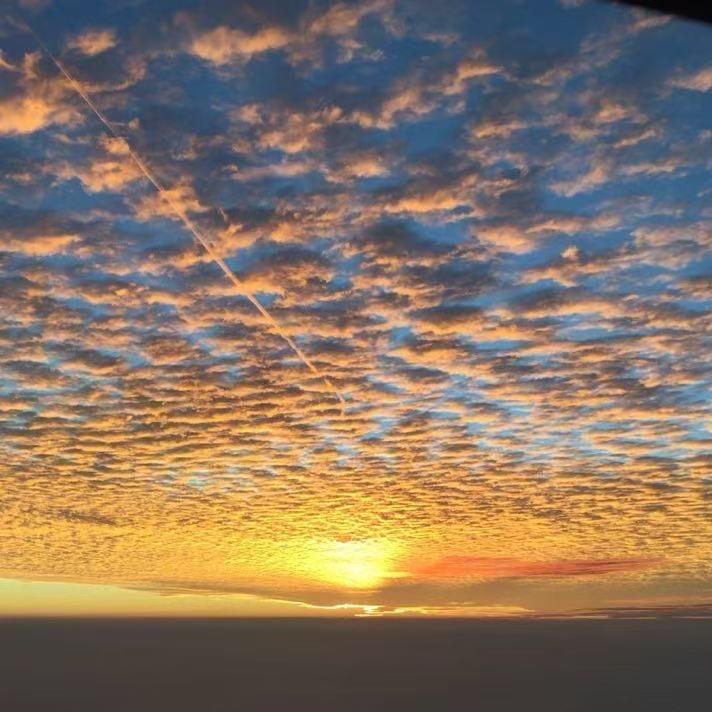 🌞飞向蓝天🌞