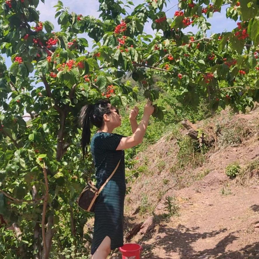如果，没有如果