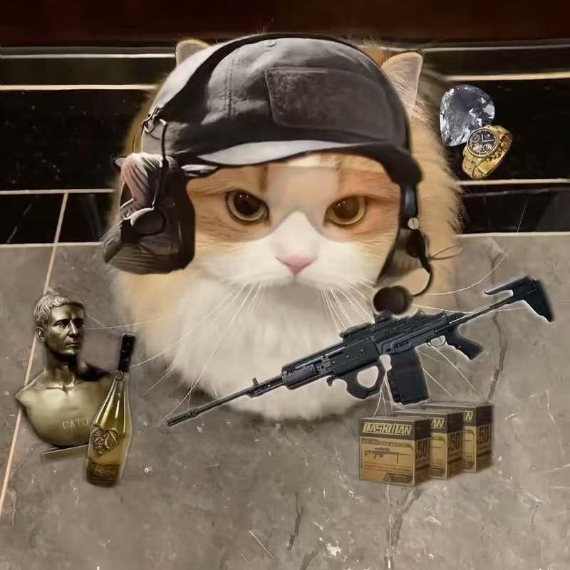 popi从零开始三角洲