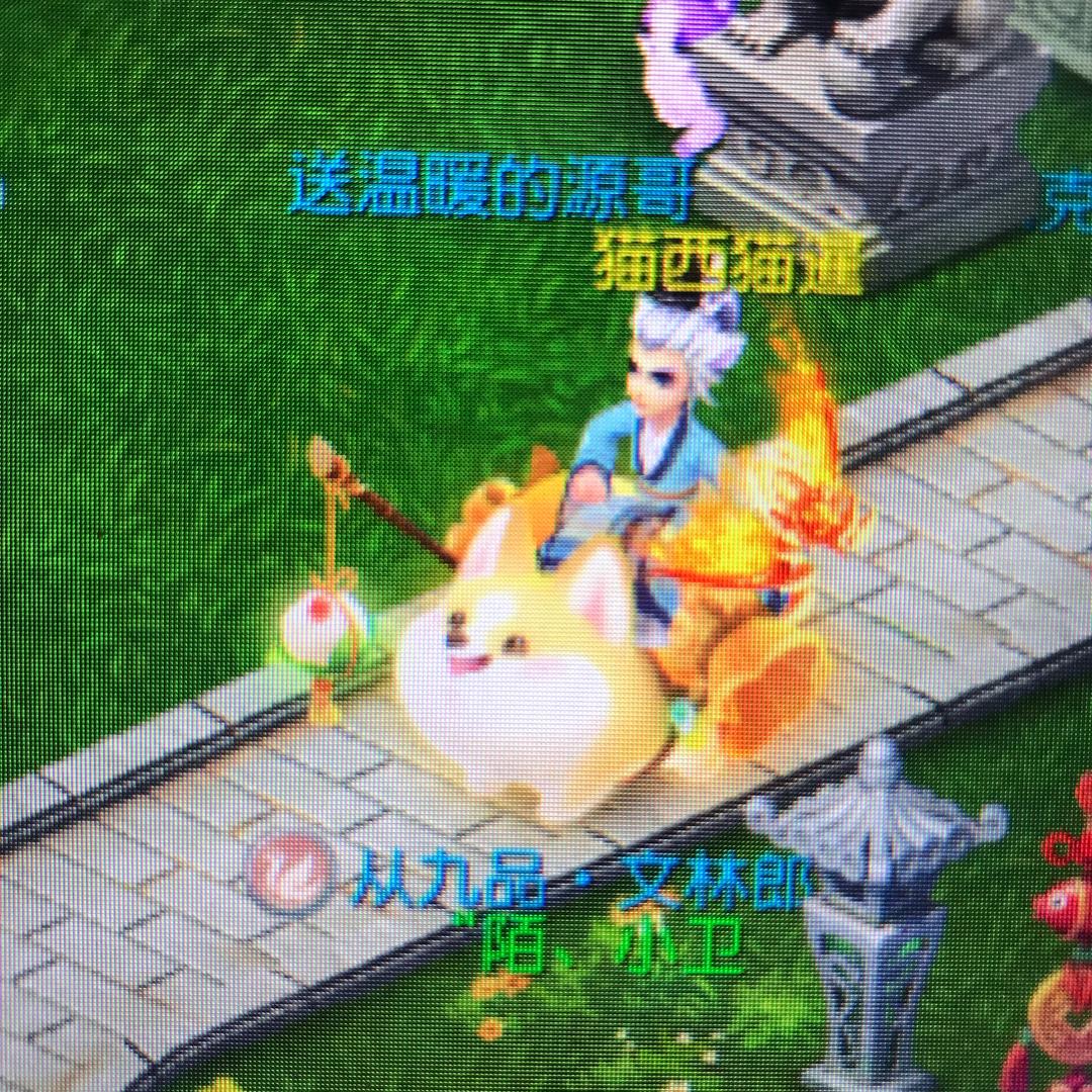 梦幻手游陌小卫