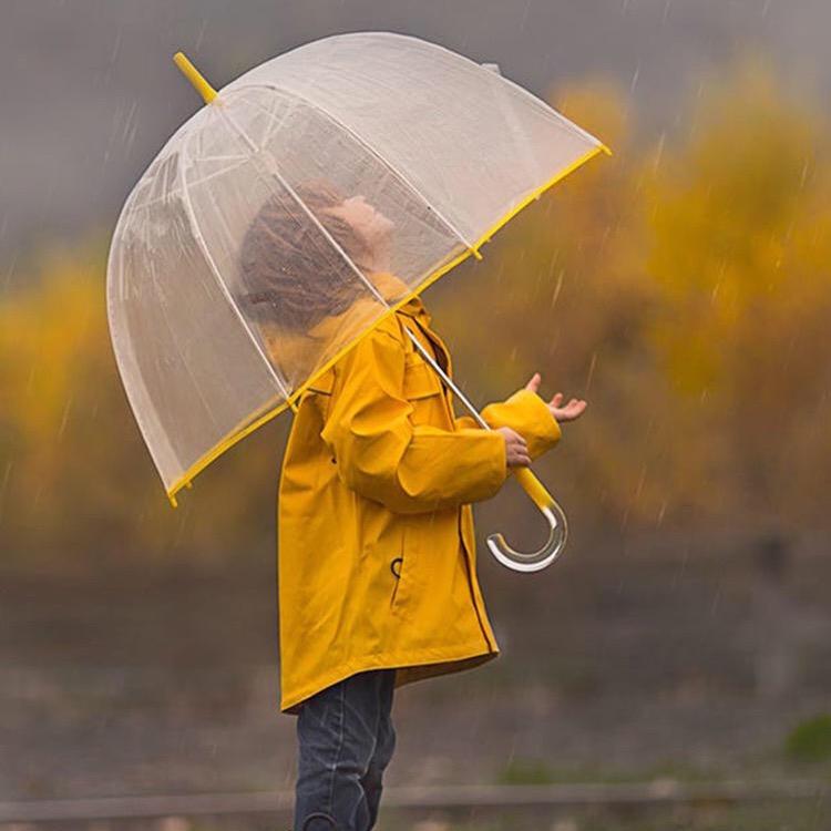 提神醒脑的橘子🍊皮