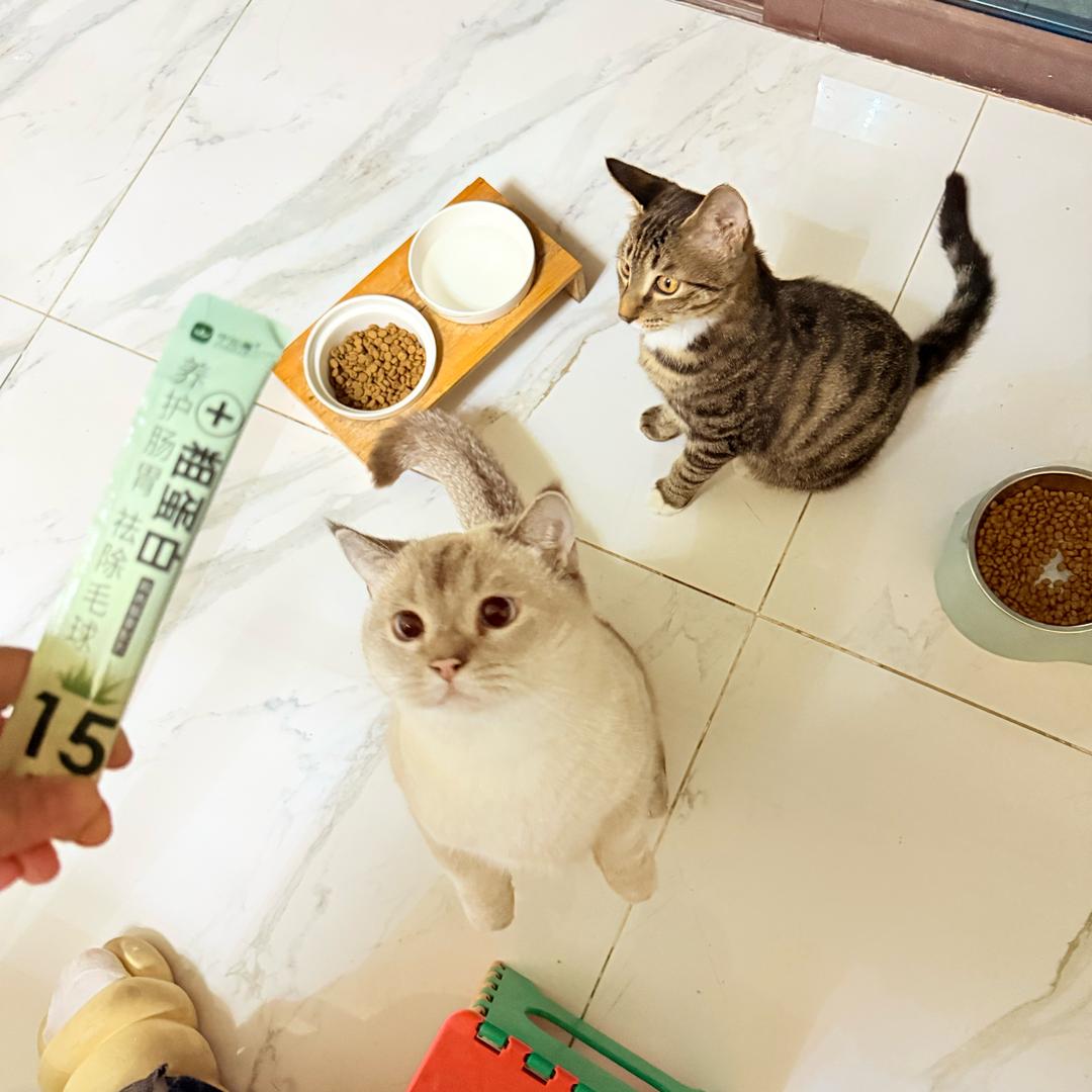 信宜妃妃（歌舞团）🎤