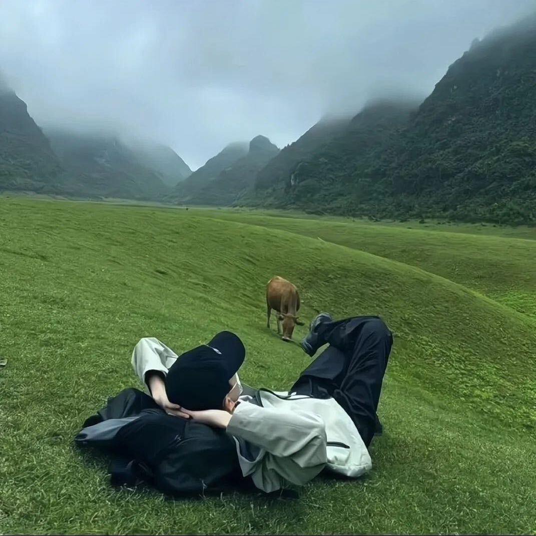 在逃飞鱼