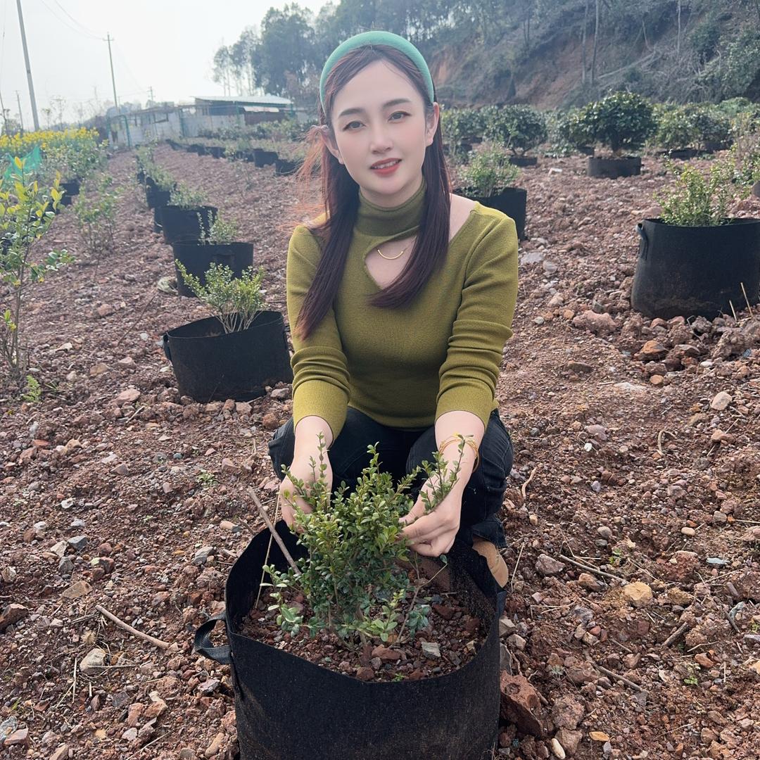 三公主绿植基地