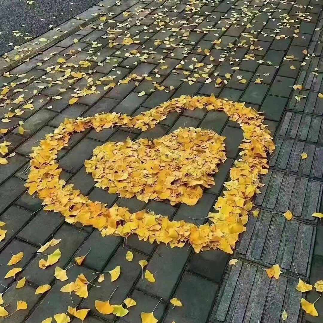 手机用户21952570042