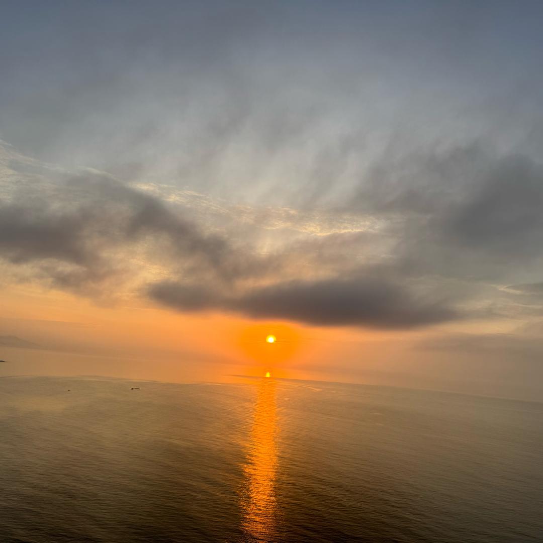 陈沙沙