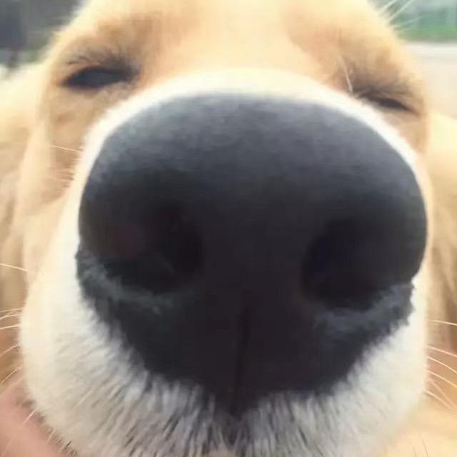 天空飘过一缕淡淡的清香