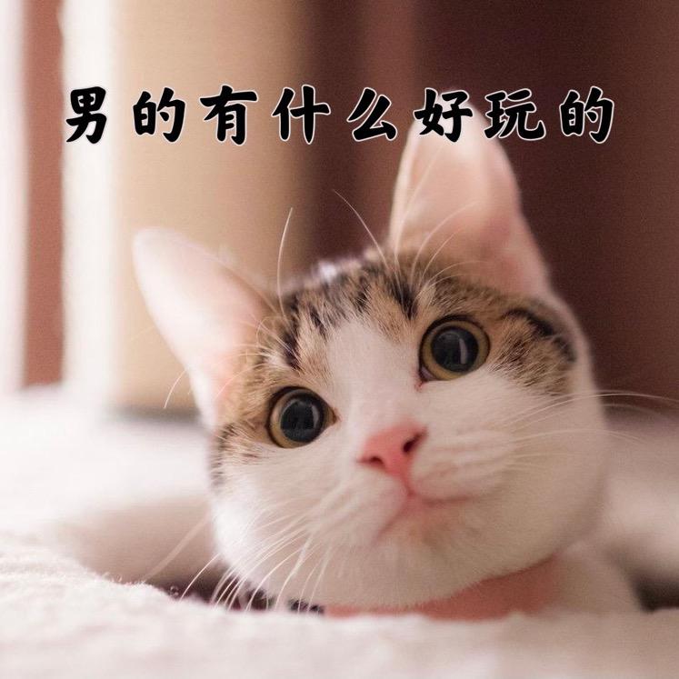 王义