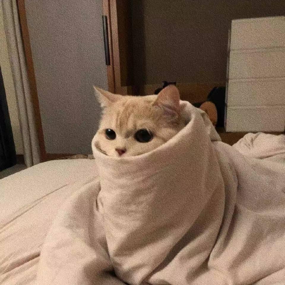 537