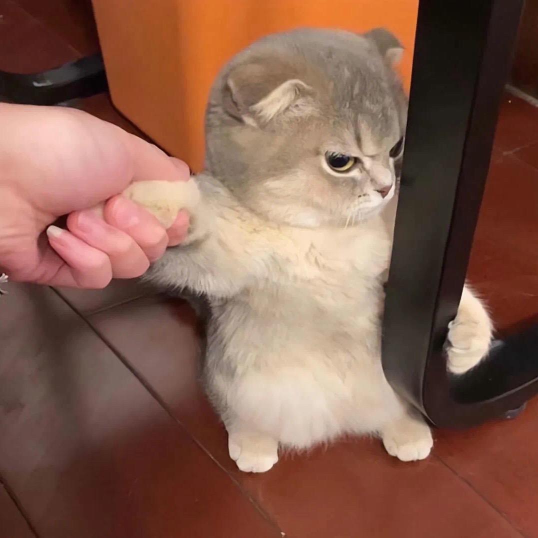 大自然