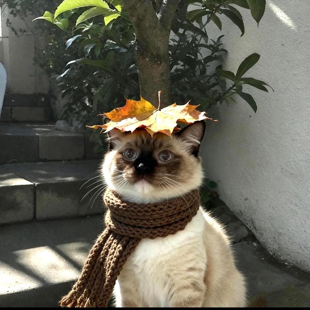 娇儿.