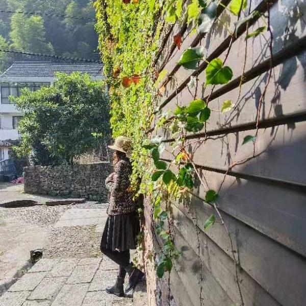 岁月静好.