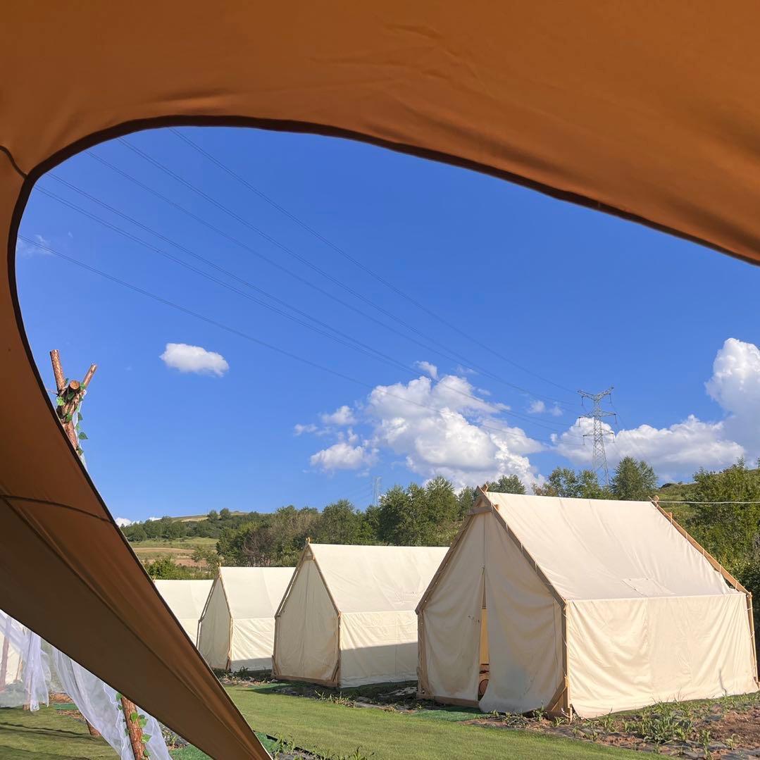 上山庄花海有你