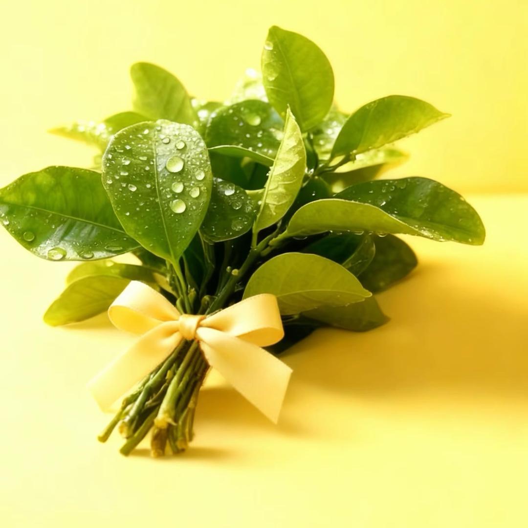 萌宝🩰韩系女鞋