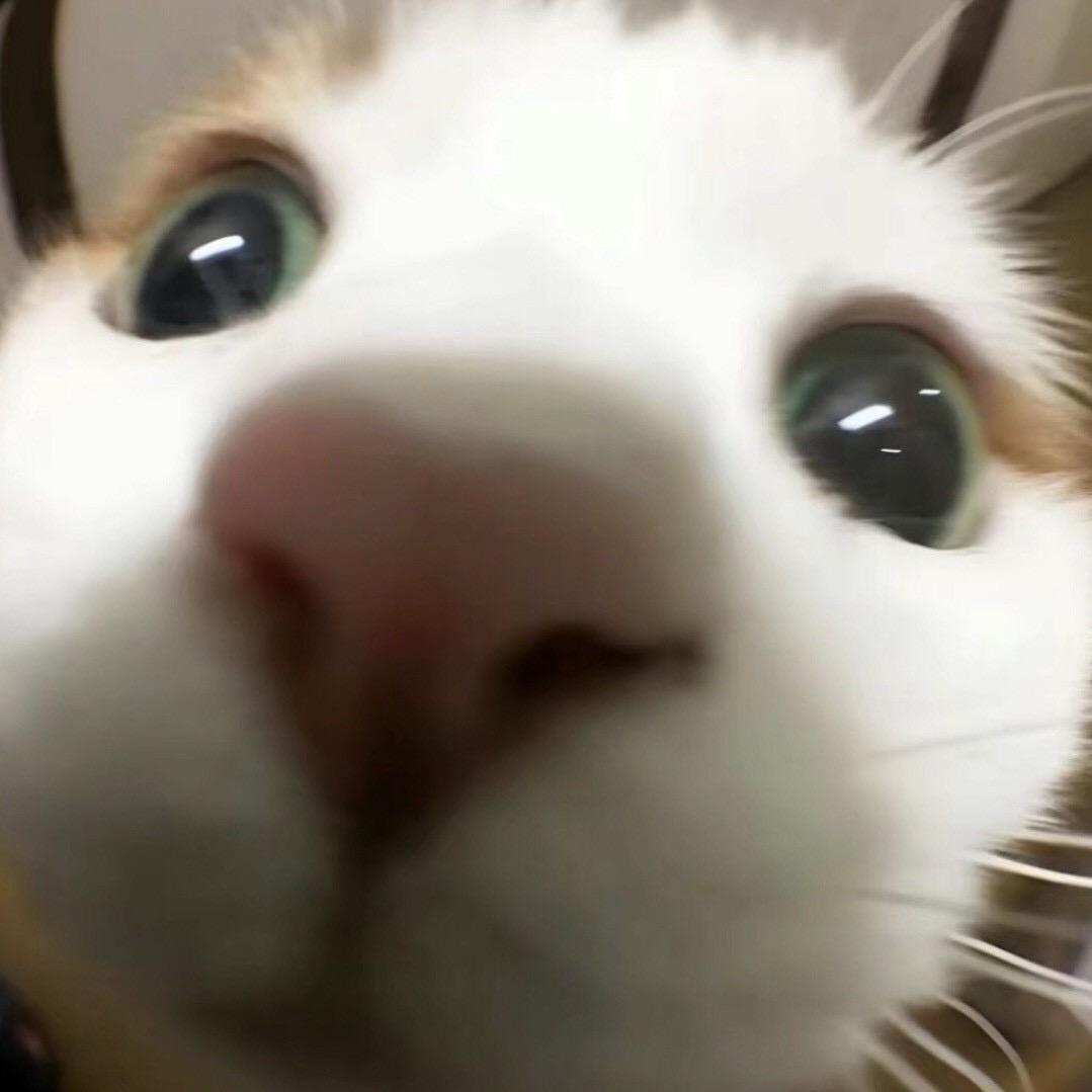 ChTuT