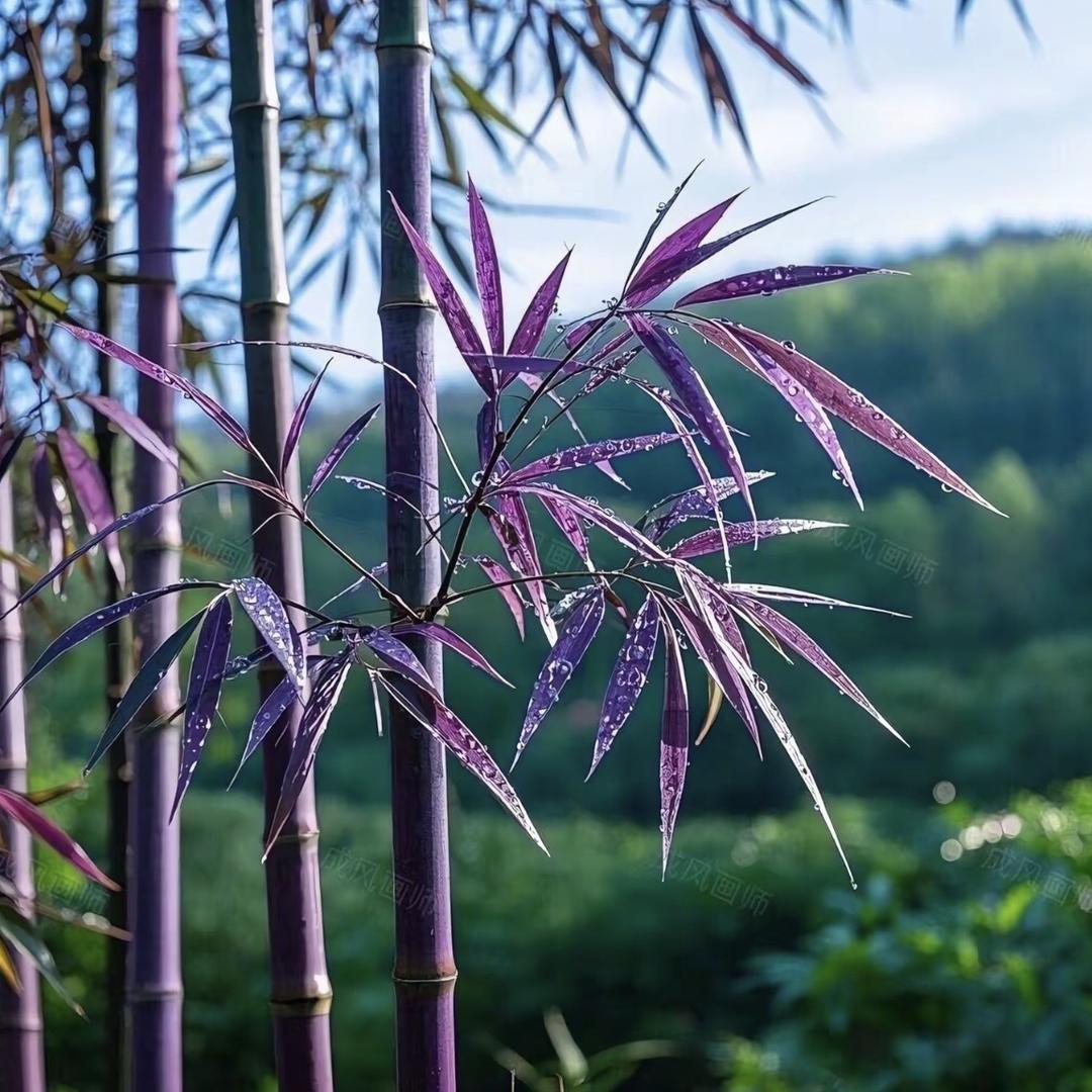 笔下生花（合创）新材料