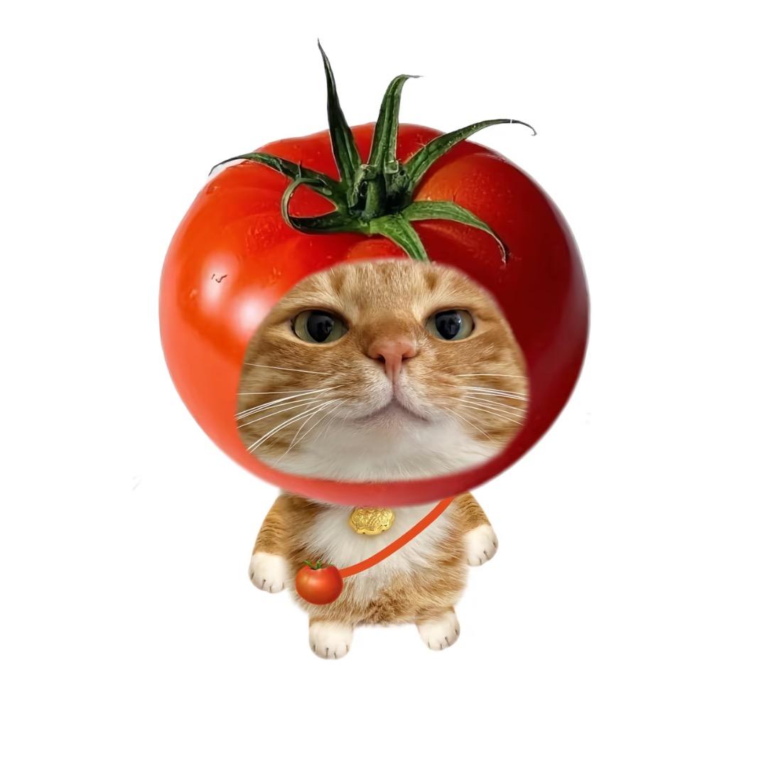 关你西红柿.🍅