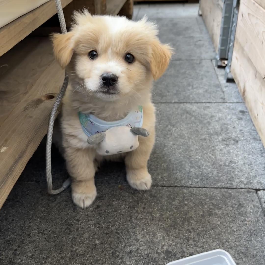 窝想睡觉