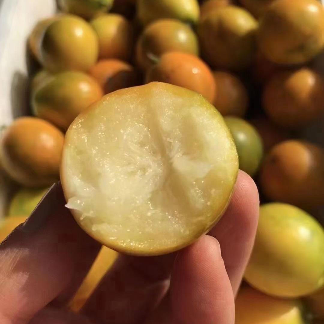 桂之乡农特产店