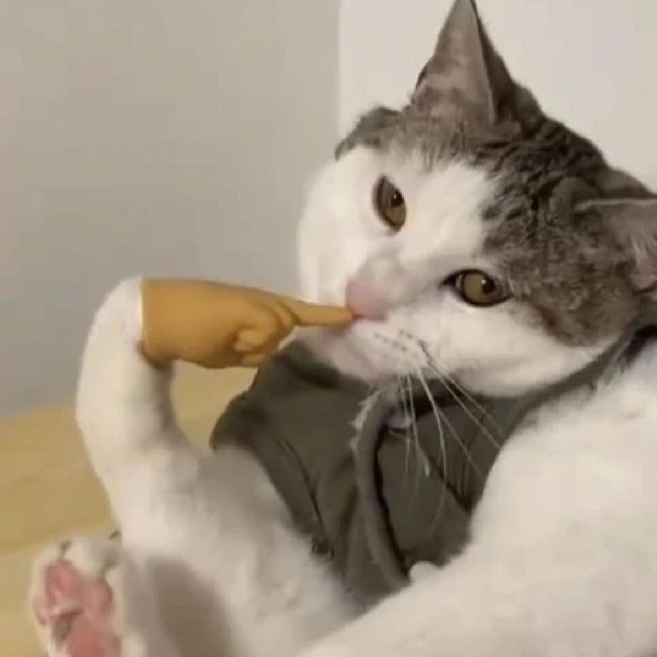 椅子大王