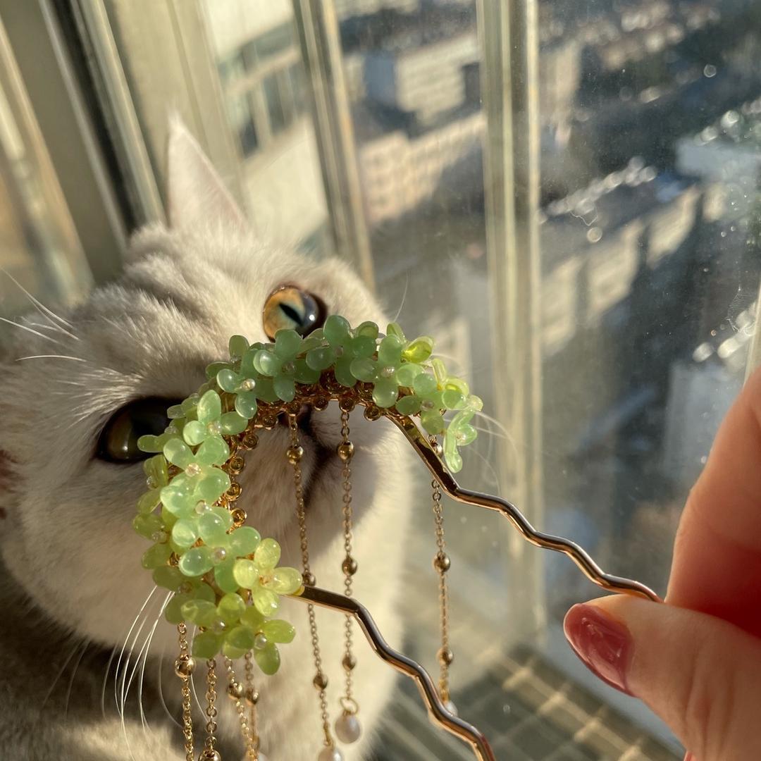 枝枝复枝枝