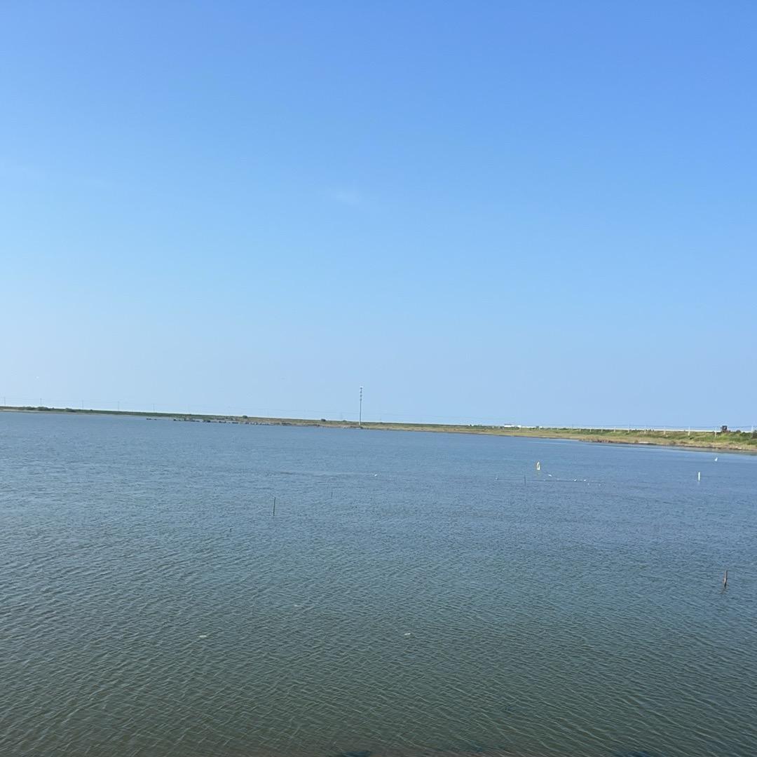 孙振