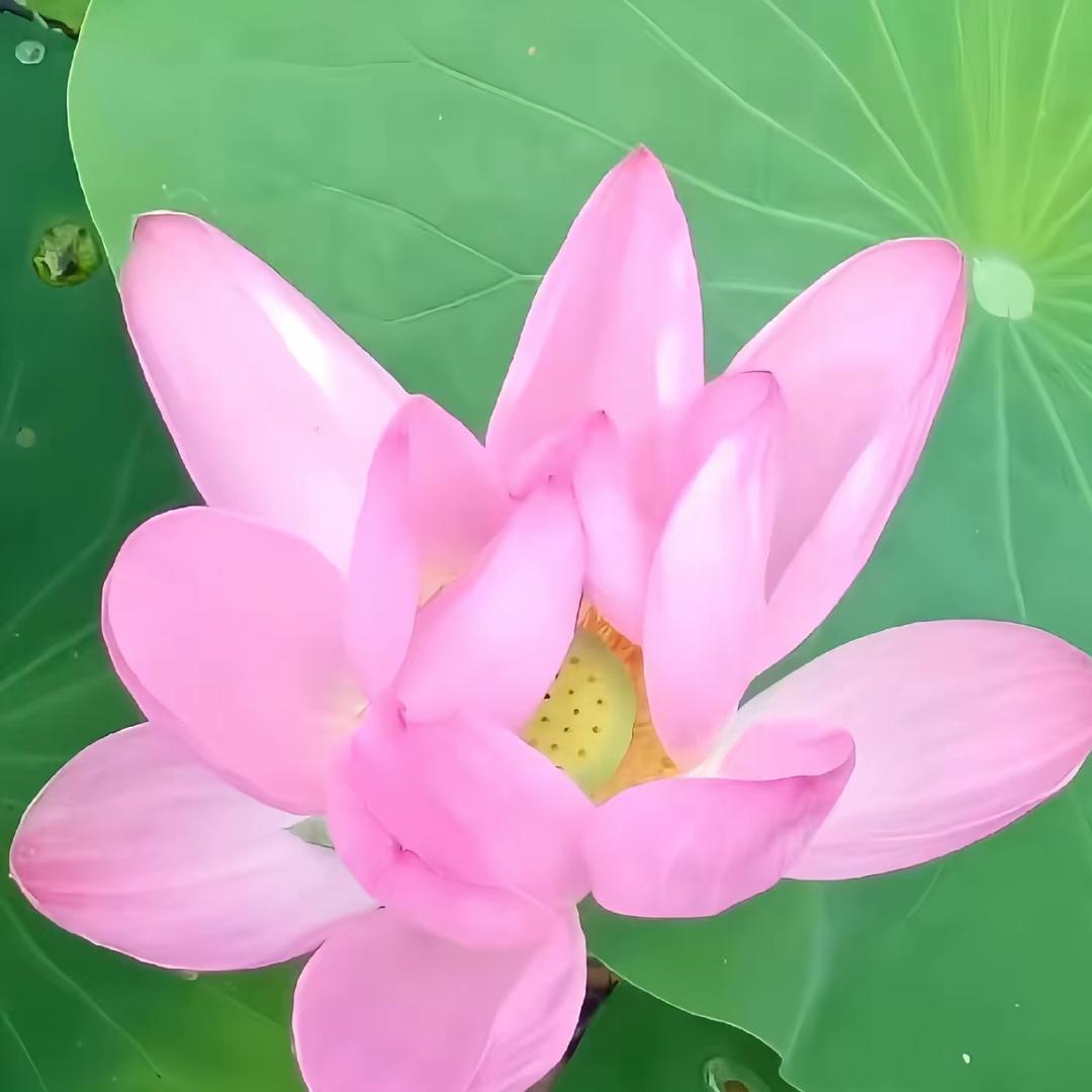平安。