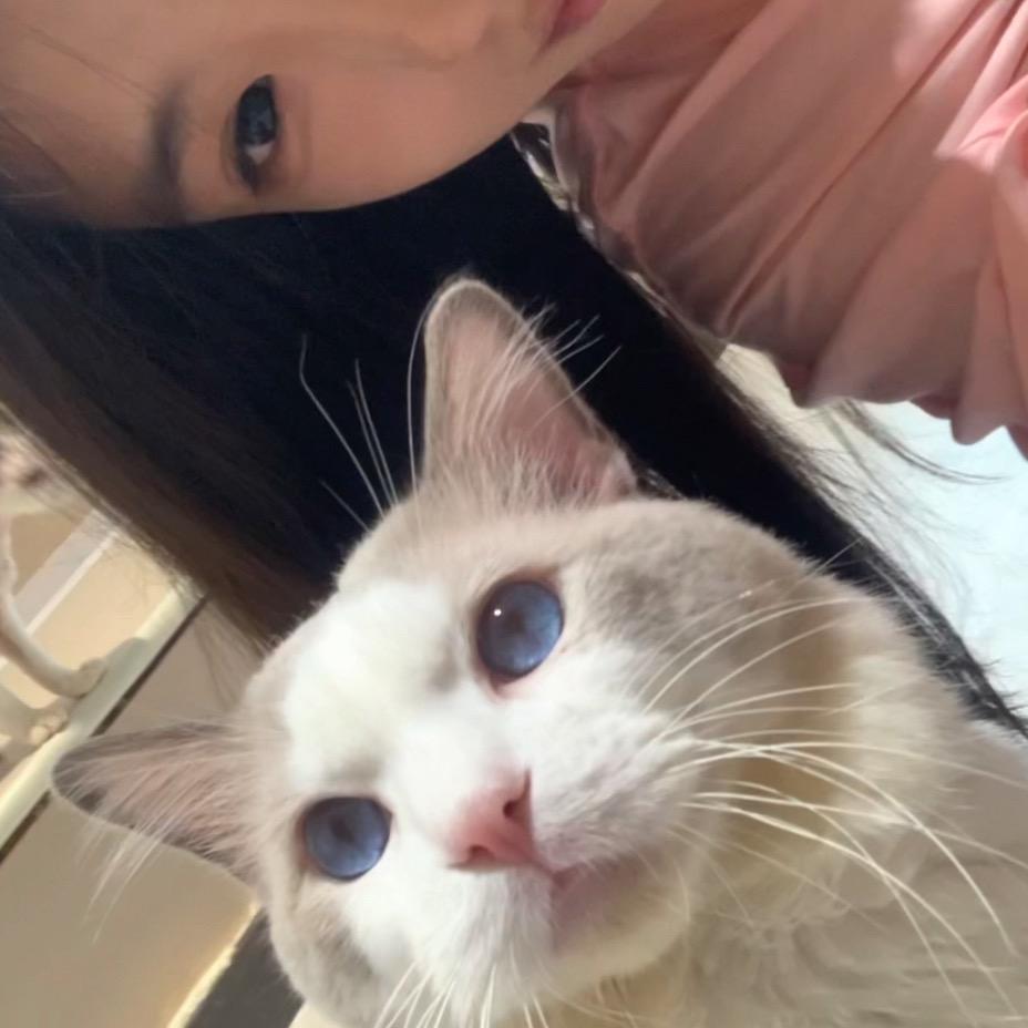 铜川高格全案设计馆小赵