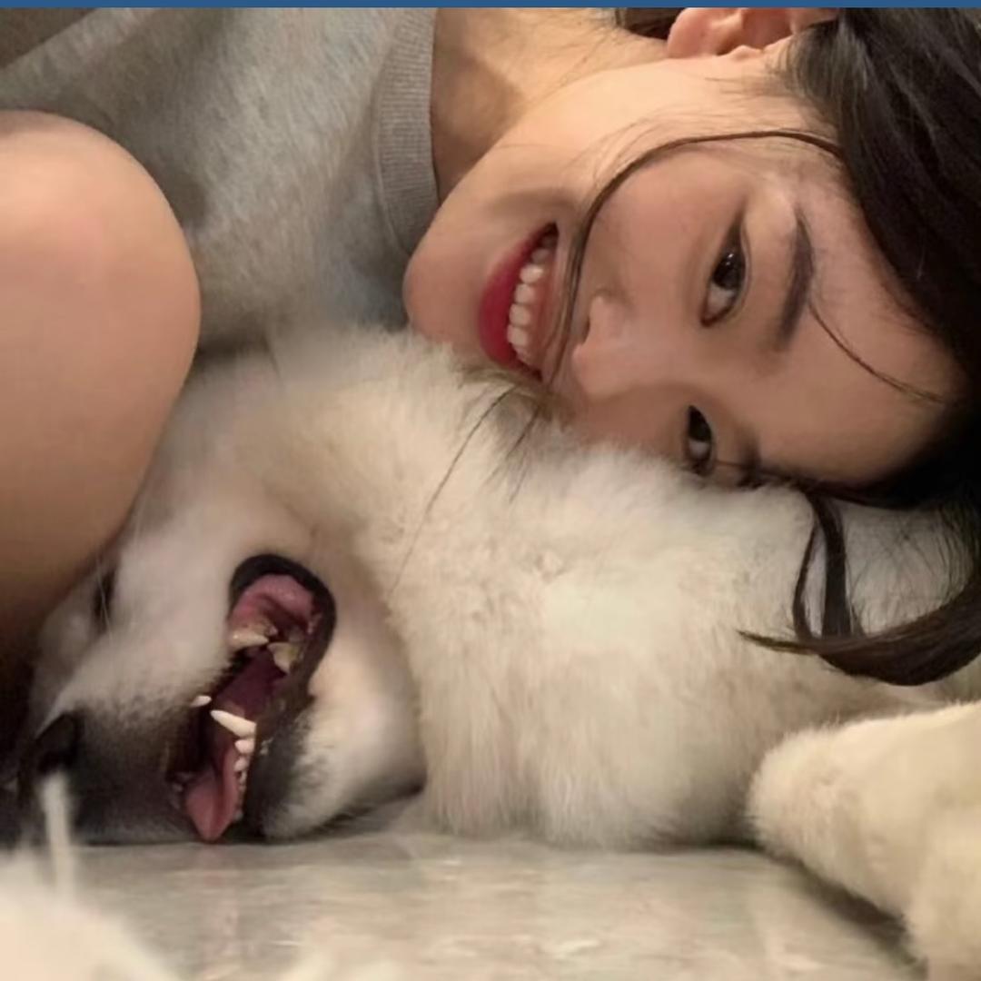 孤独的狼