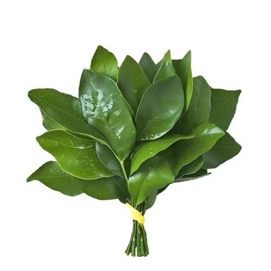 我不是高高