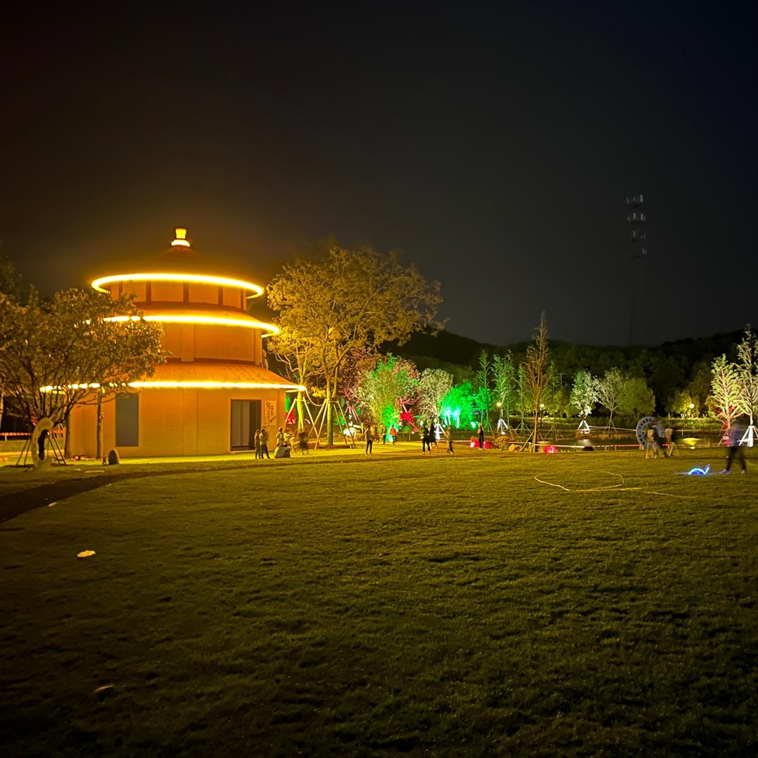 🙉天高任你飛🦅