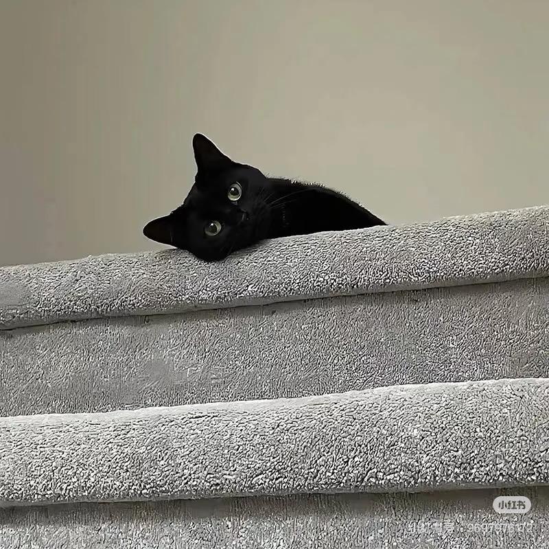 ㅤㅤㅤㅤㅤ_西涅