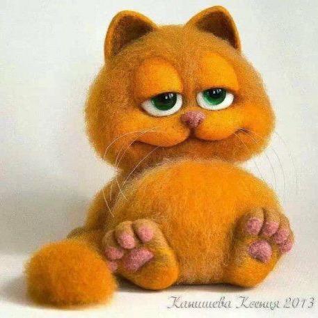 猫🐱