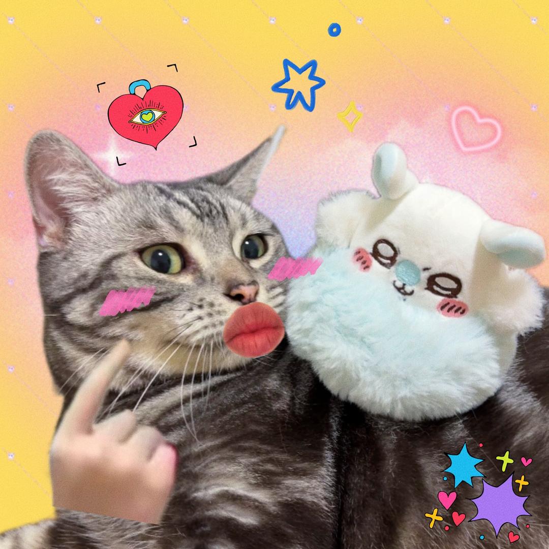 粉红顽皮滚猪咪