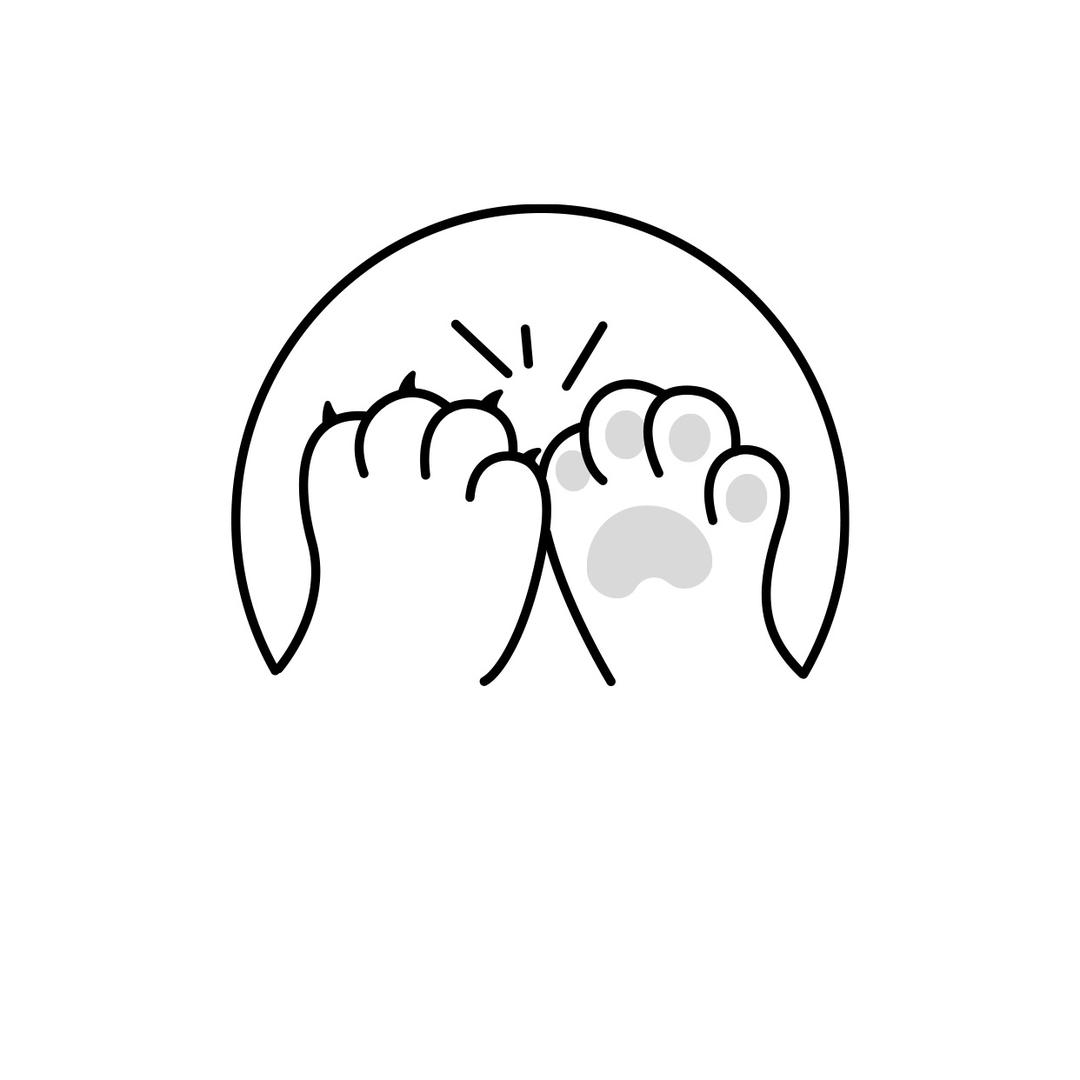 迈迪商行