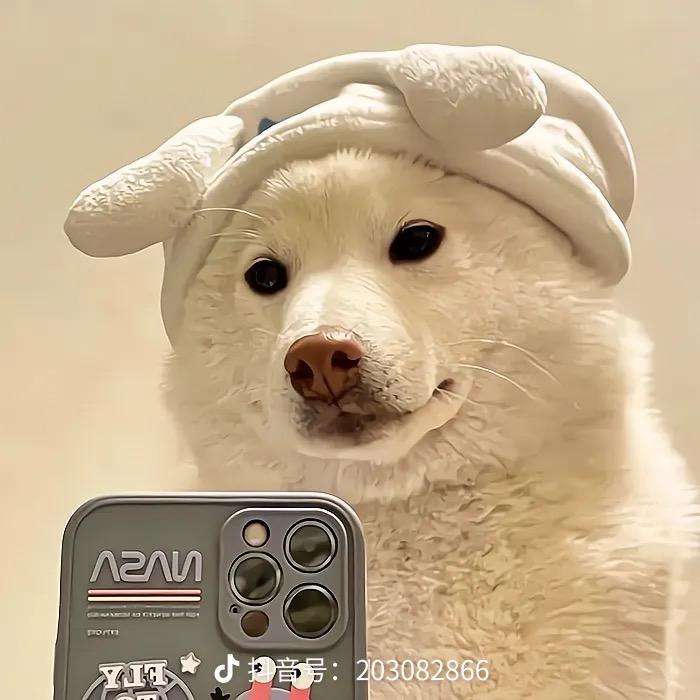 @夹心饼干