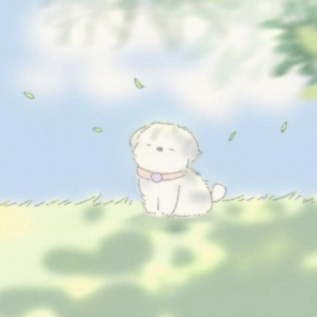 睡觉大王